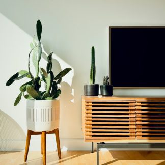 Gallery Media Console 74"